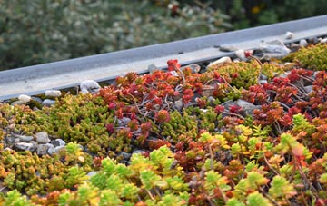 the cost of Egginton Common green roof installation