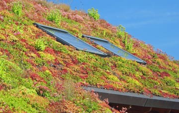 Egginton Common living roof systems